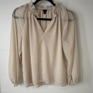 Ann Taylor Cream Textured Blouse